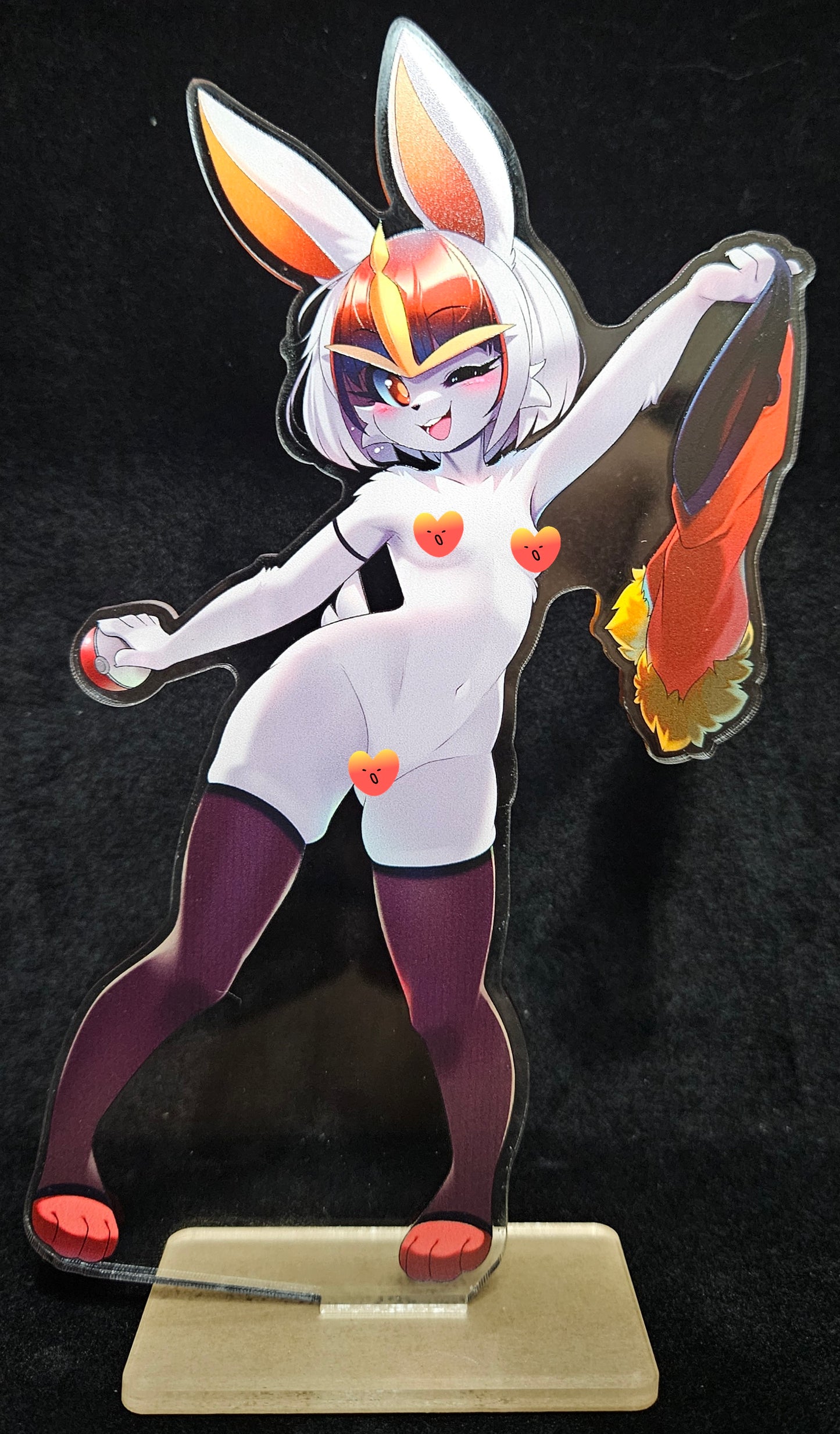 Tsampiko's trainer bunny