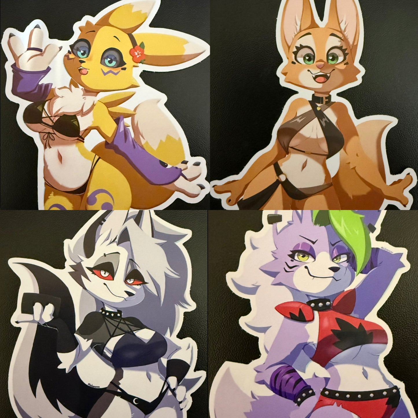 Lupins vs Vixens